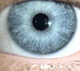 Similar image 21978268