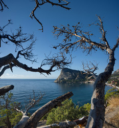 Similar image 21980475