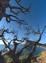 Similar image 21980477