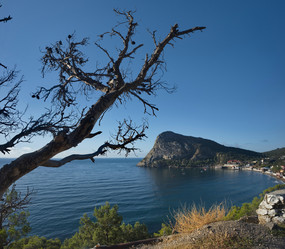 Similar image 21980478