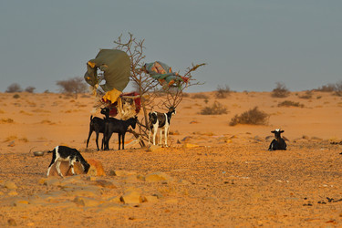 Similar image 21980489