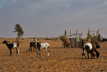 Similar image 21980490