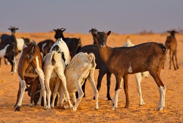 Similar image 21980494