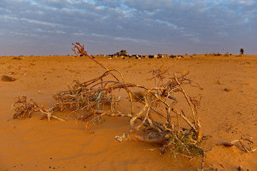 Similar image 21980496