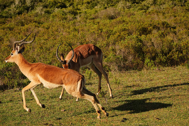 Similar image 21987948