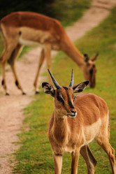 Similar image 21987949