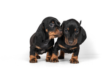 Similar image 21977877