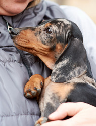 Similar image 21977878