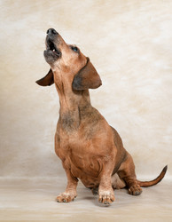 Similar image 21977880