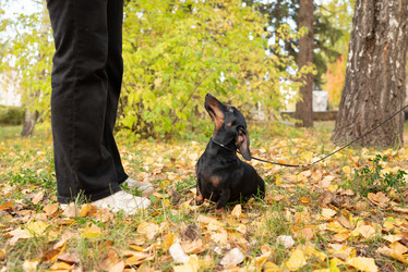 Similar image 21977881