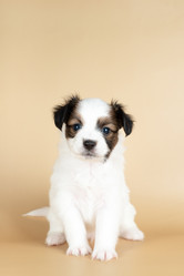 Similar image 21977883