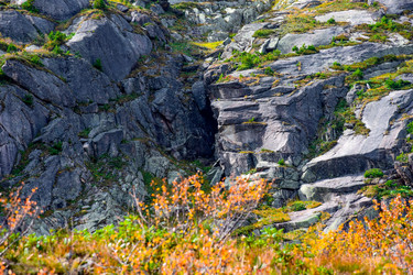 Similar image 21978938