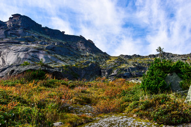 Similar image 21978940