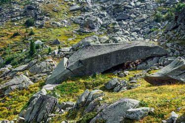 Similar image 21978941