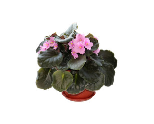 Similar image 21987846