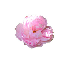 Similar image 21987848