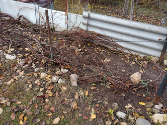 Similar image 21988399