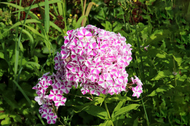 Similar image 21988400