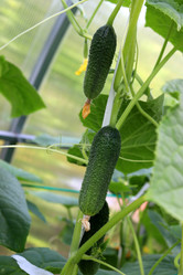 Similar image 21988401