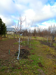 Similar image 21988403