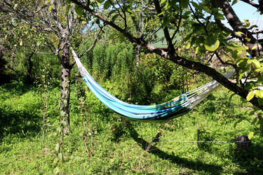 Similar image 21987851