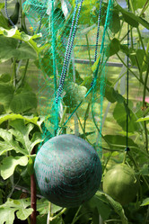 Similar image 21987852