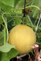 Similar image 21987950