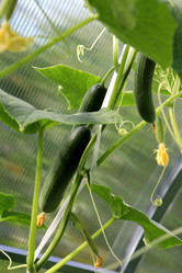 Similar image 21987951