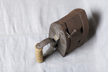 Similar image 21978629