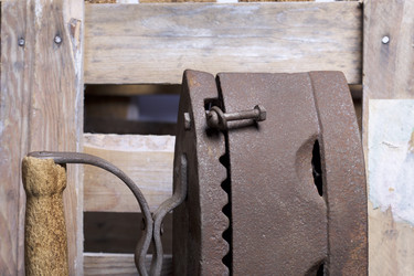 Similar image 21978658