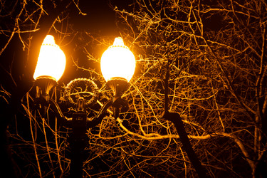 Similar image 21977905