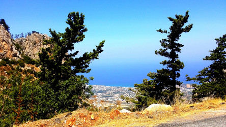 Similar image 21977753