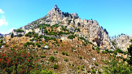 Similar image 21977755