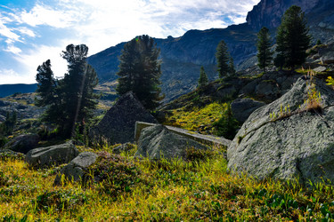 Similar image 21978825