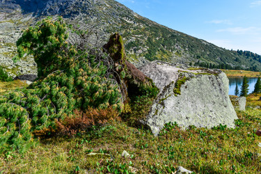 Similar image 21978827