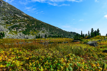 Similar image 21978831