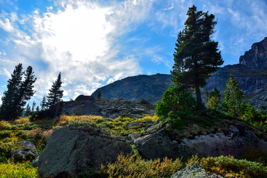 Similar image 21978833