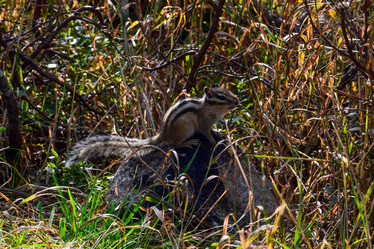 Similar image 21978836