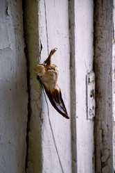 Similar image 21989743