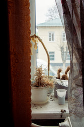 Similar image 21989758