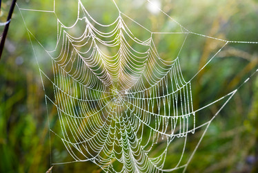 Similar image 21978944