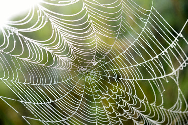 Similar image 21978945