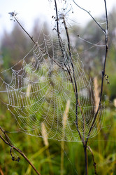 Similar image 21978946