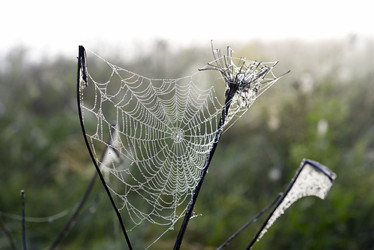 Similar image 21978947