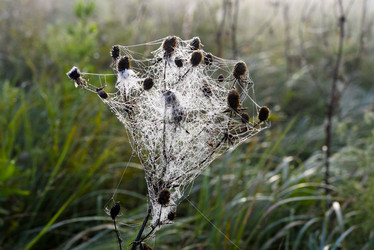 Similar image 21978948