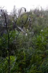 Similar image 21978949