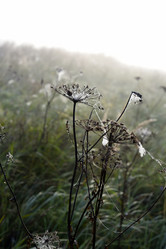 Similar image 21978950