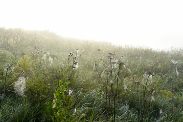 Similar image 21978953