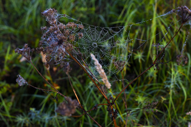 Similar image 21978954