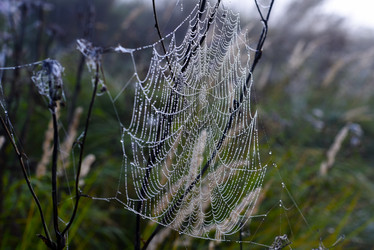 Similar image 21978955